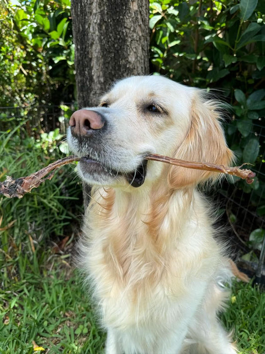 Pork Pizzles | 4-8 Packs