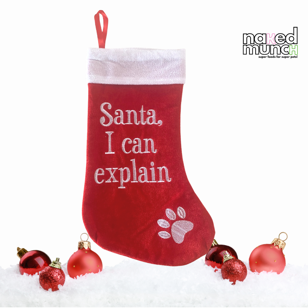 Santa I can Explain Stocking + FREE Santa Snacks