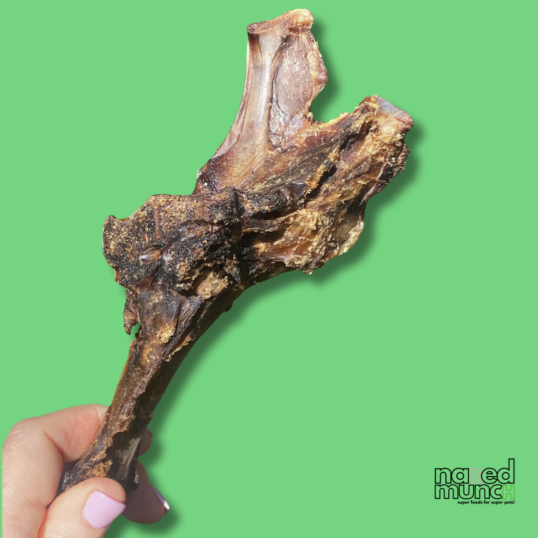 Hand holding a large dried meat bone against a green background with 'nailed munc' branding.