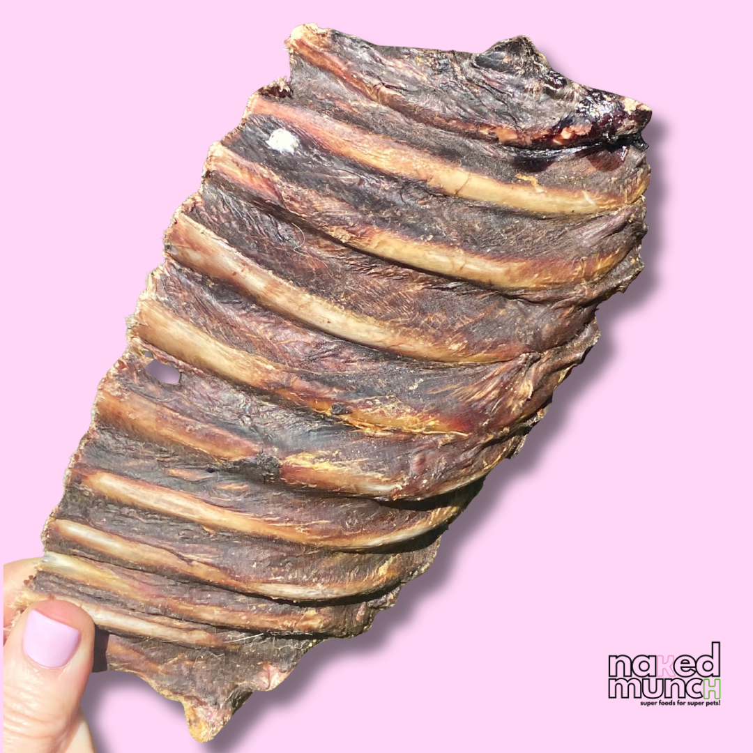 Rack of Roo Rib Dog Chews