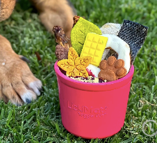 Lickimat® Yoggie Pot | Last Chance