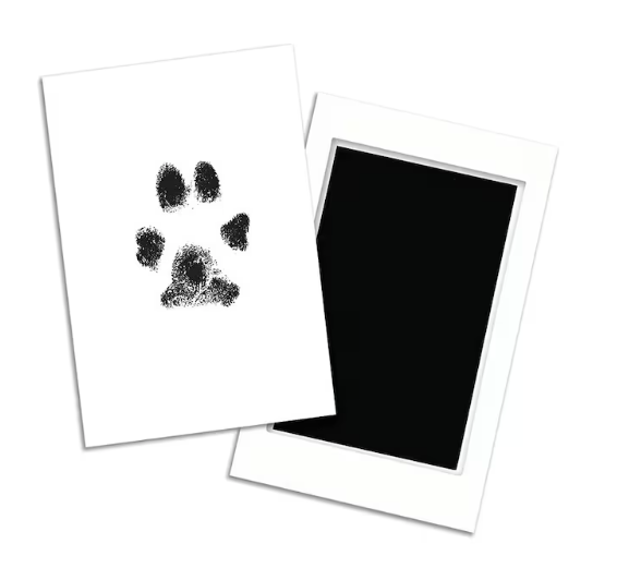 Pet Paw Print Memory | Gift Packed
