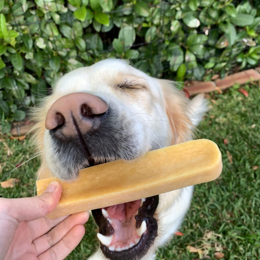 Himalayan Yak chews - tough dog chews - Naked Munch