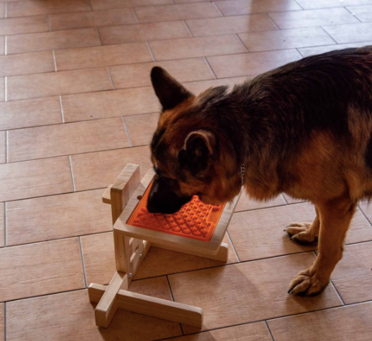 ickimat Slow Feeder Riser with dog