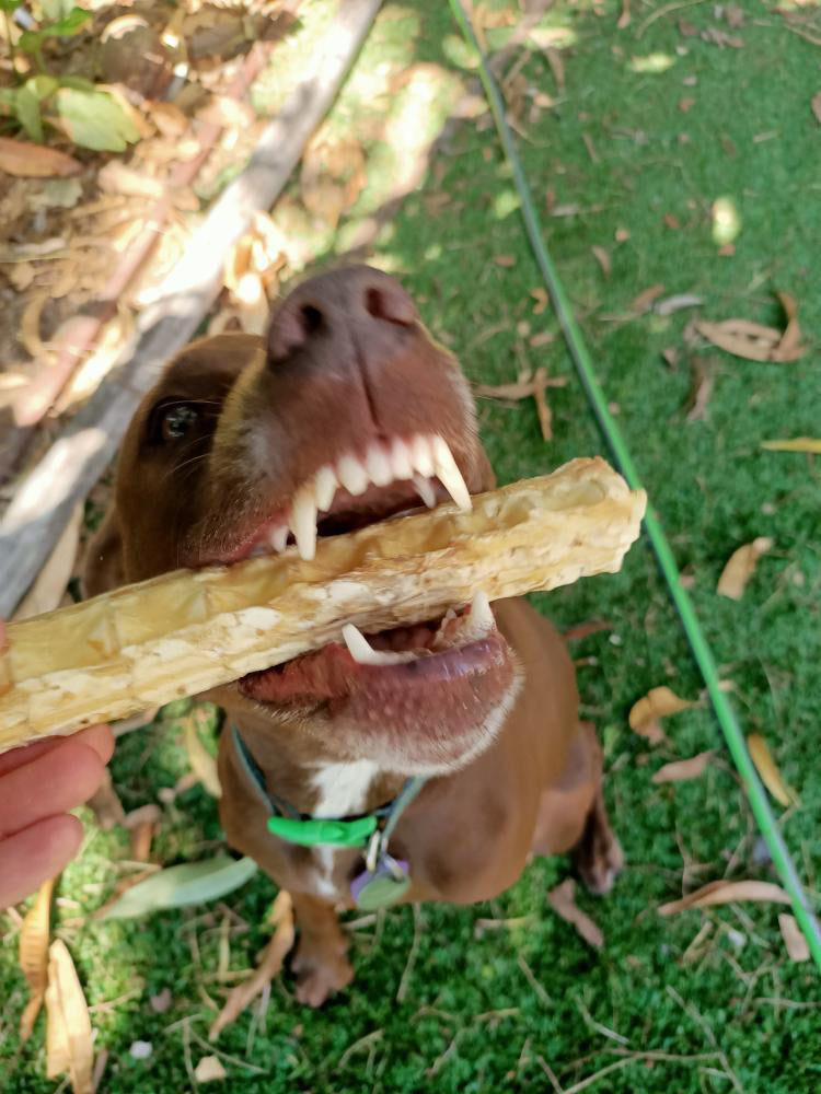 Chunky Cartilage Chew