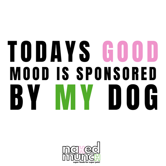 Unleashing Happiness: Why dogs are pawsitively good for our moods!