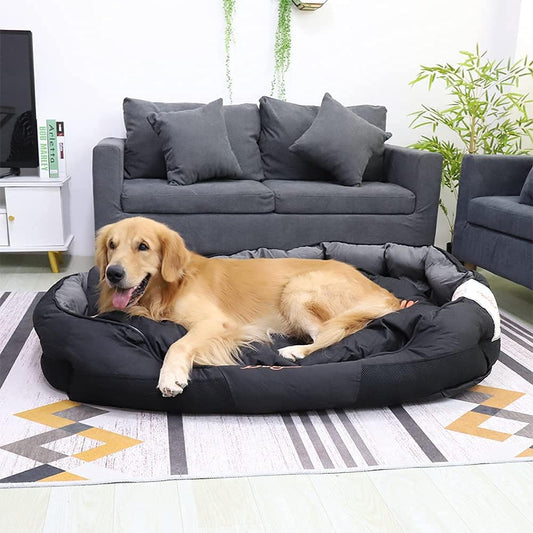 Top 5 Ultra Tough Dog Beds for Aussie Dogs
