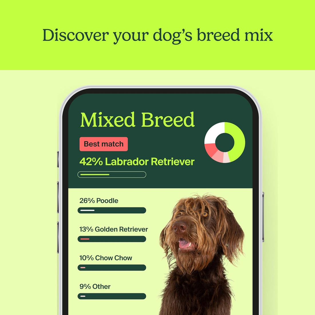 Ever Wondered What Your Dogs DNA Is?