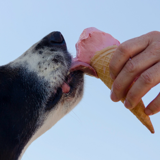 Cool Down With Easy Watermelon Ice Cream