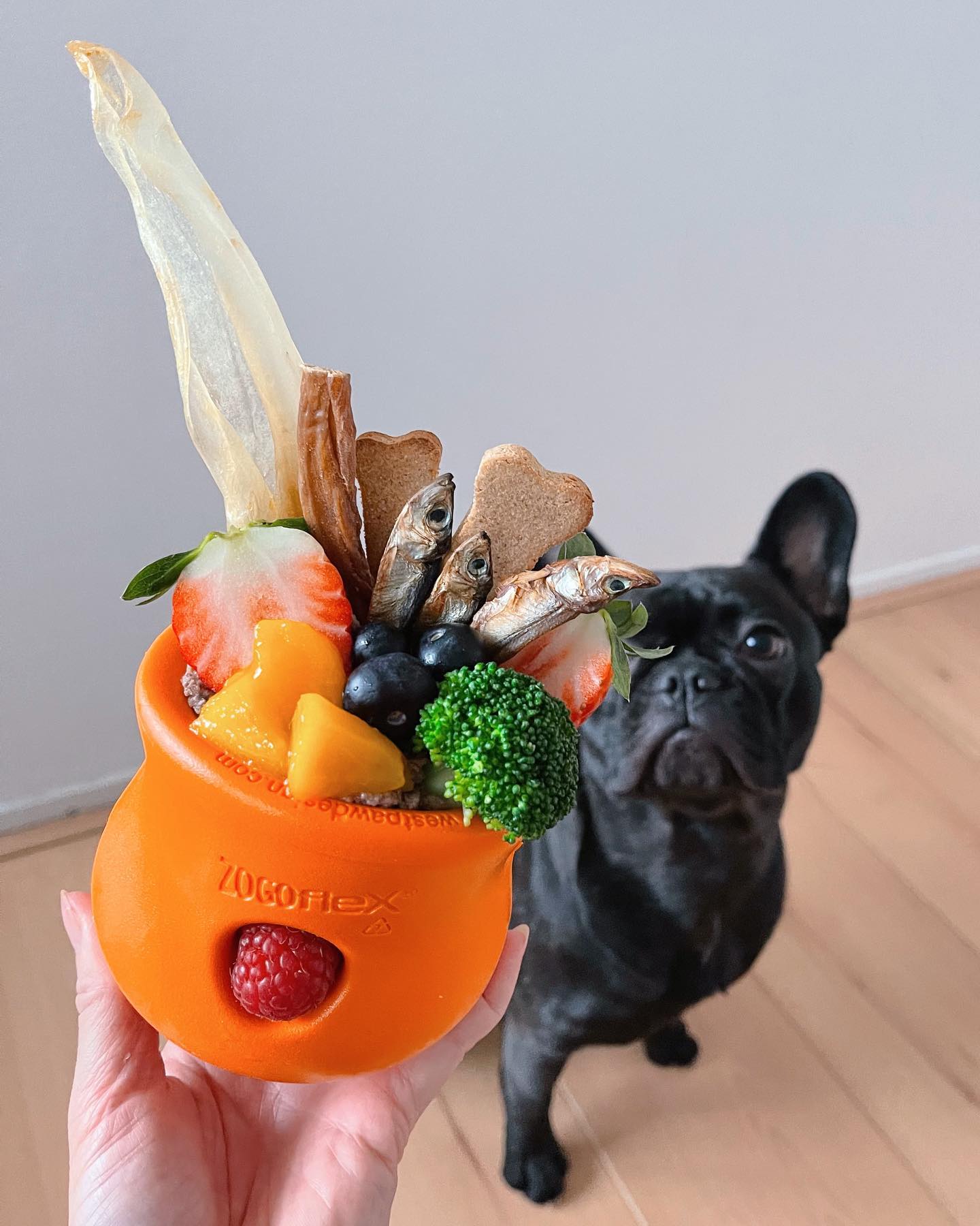 Enrichment Toys & Slow Feeders For Dogs | Keep Dogs Occupied โ Naked ...