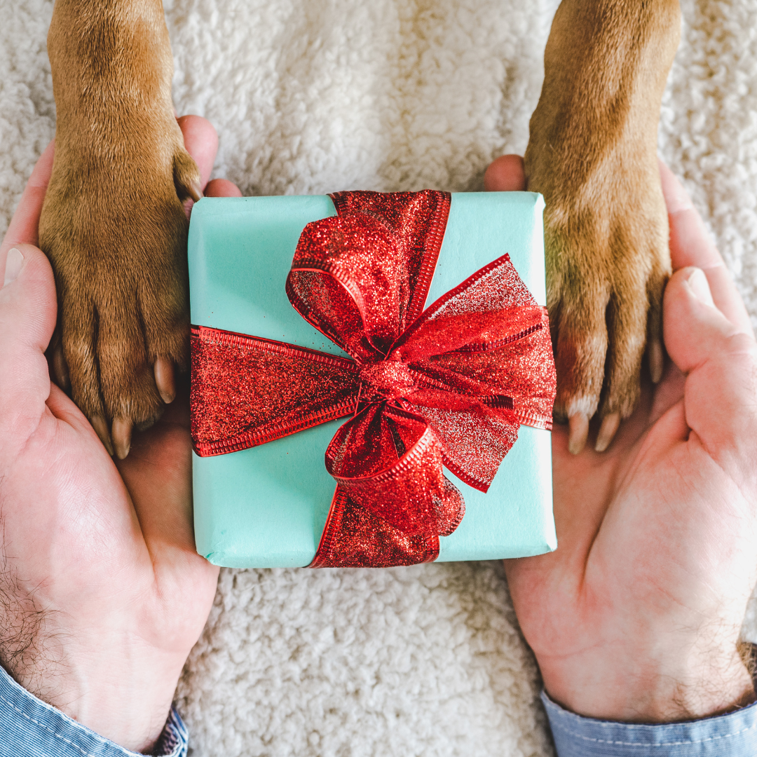 Gifts for Everyone