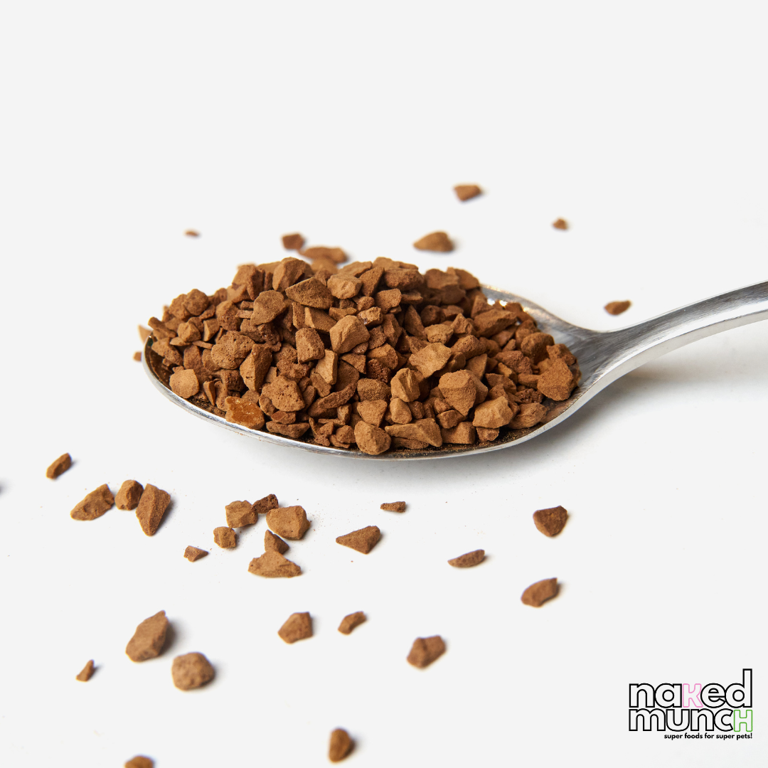 Beef topper on a spoon to sprinkle on dog food