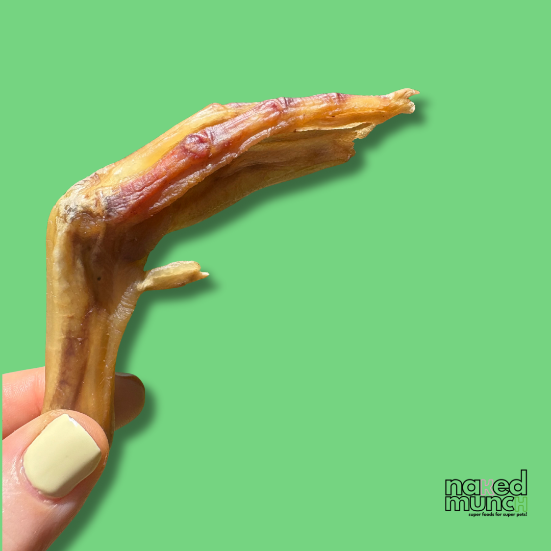 Organic Duck Feet Collagen Chews
