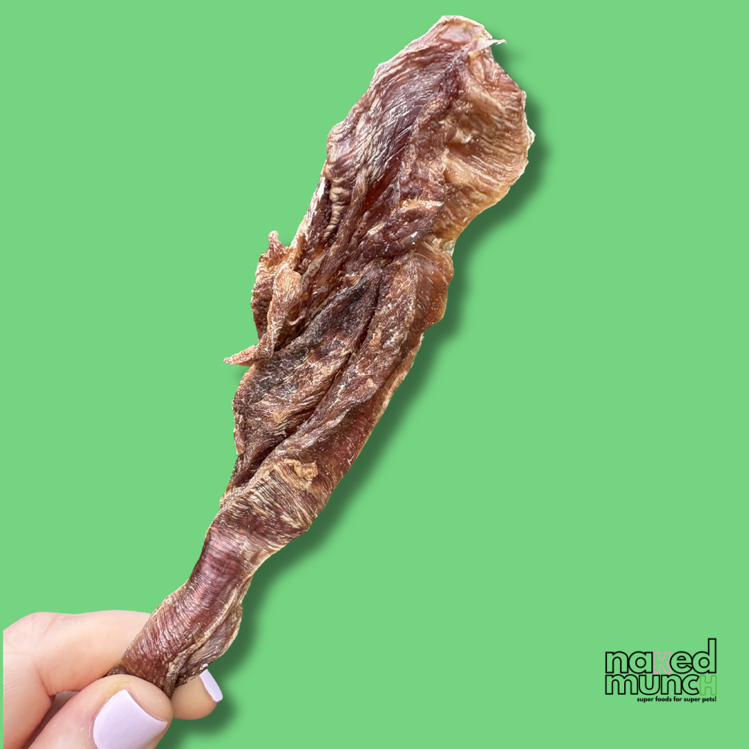 Crunchy Duck Chews