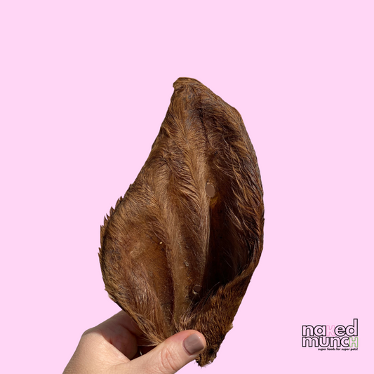 A hand holding a whole, uncut beef ear chew against a pink background, with the brand 'naked munch' visible on the bottom right.
