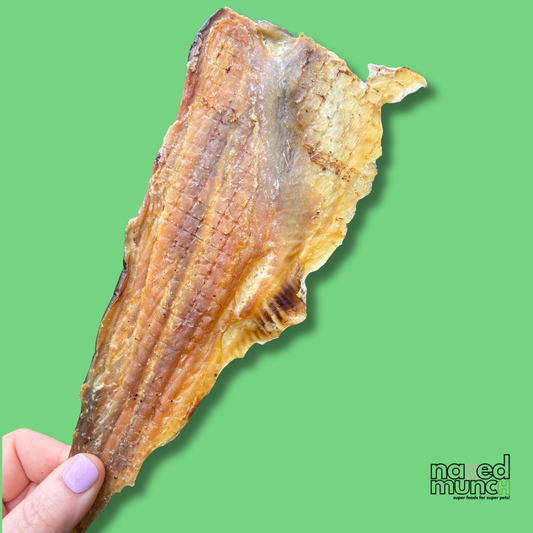 Large Mackerel Fillets