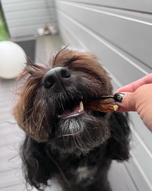 Mackerel Jerky Bites