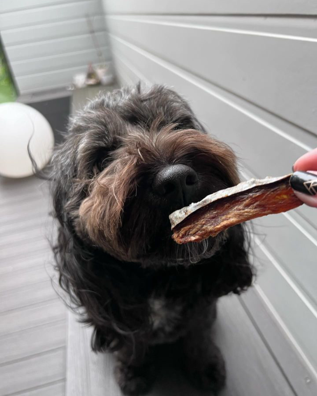 Mackerel Jerky Bites