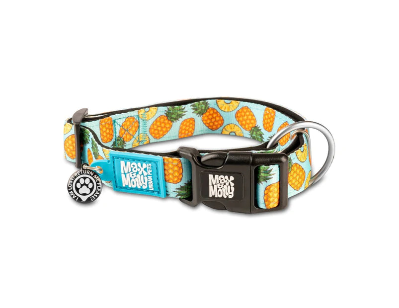 Max & Molly dog collar with pet ID tag 