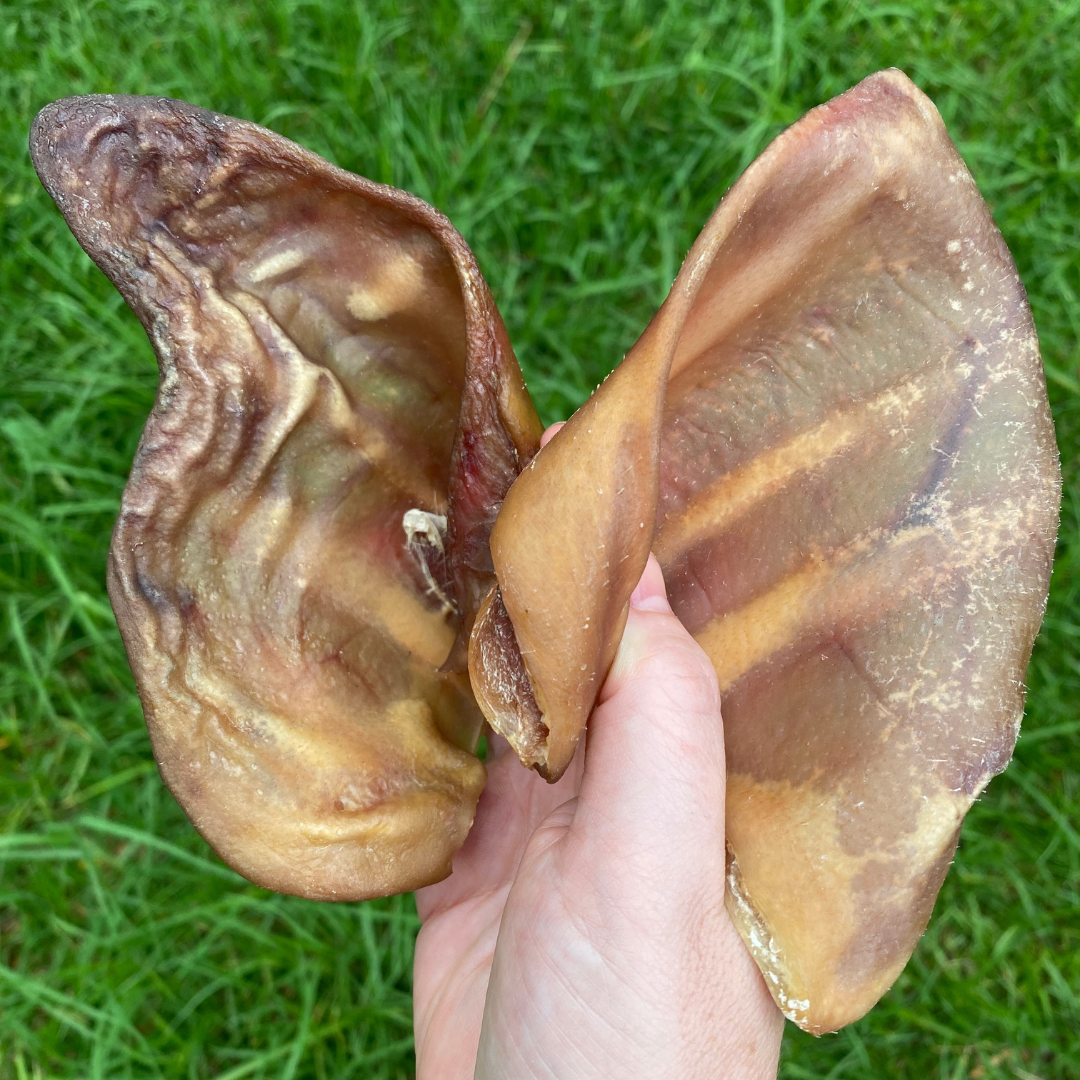 Pigs Ears tough dog chews - Naked Munch Pets 