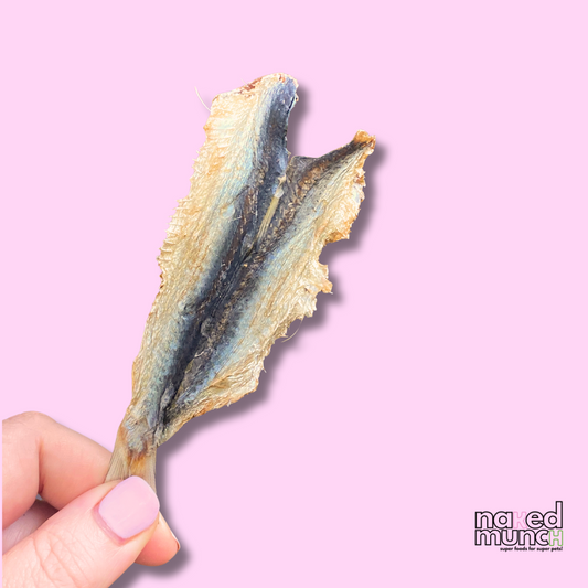 Sardine Butterflies | Buy More Save More