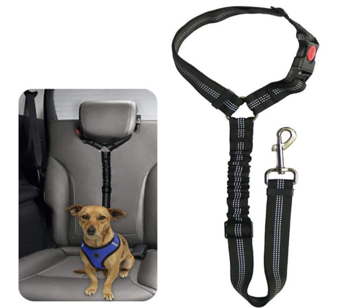 Safety Backseat Belt 2 in 1  - multiple colours