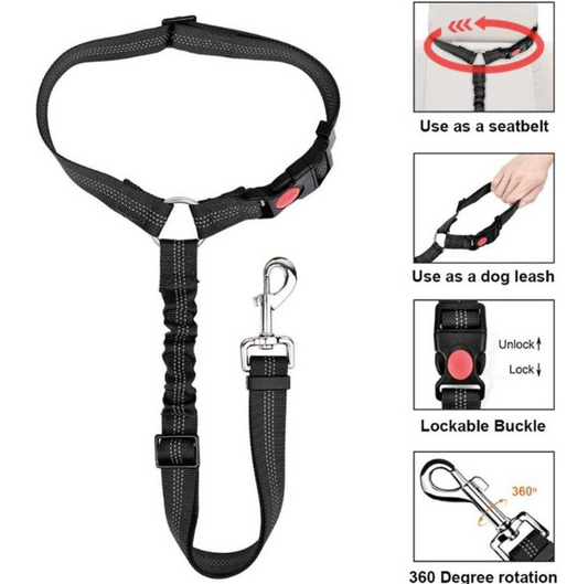 Safety Backseat Belt 2 in 1  - multiple colours