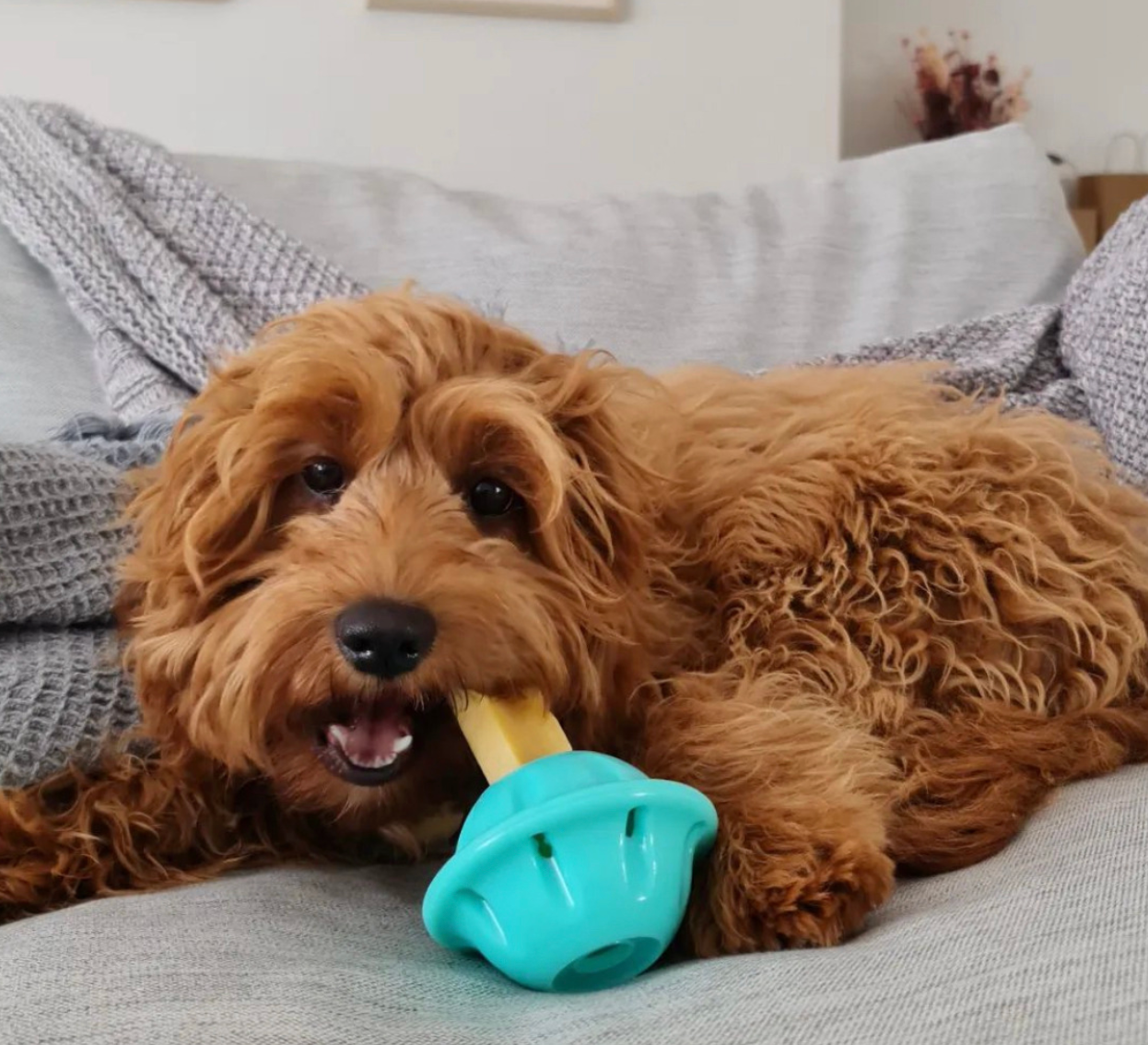 Bone marrow chew holder - Naked Munch Pets 