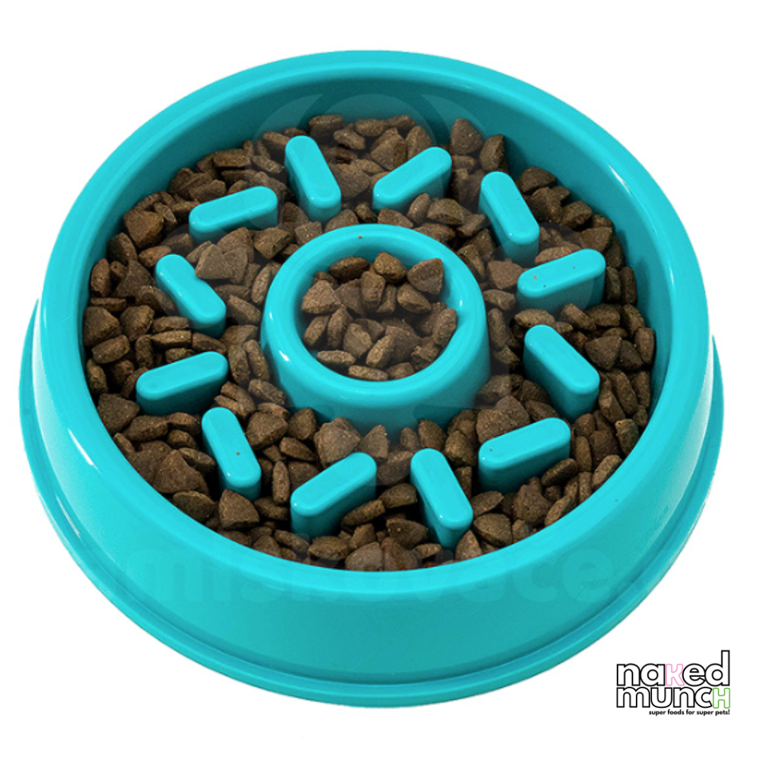Slow feeder large bowl for dogs - Naked Munch Pets 