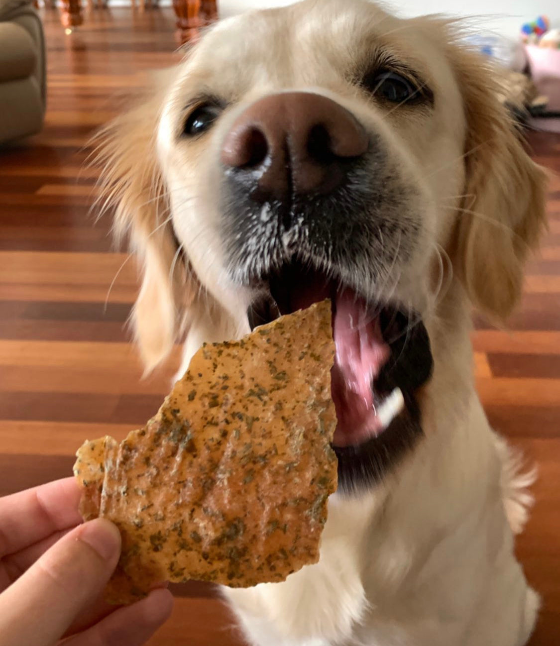 Chicken dog treats for dogs - naked munch