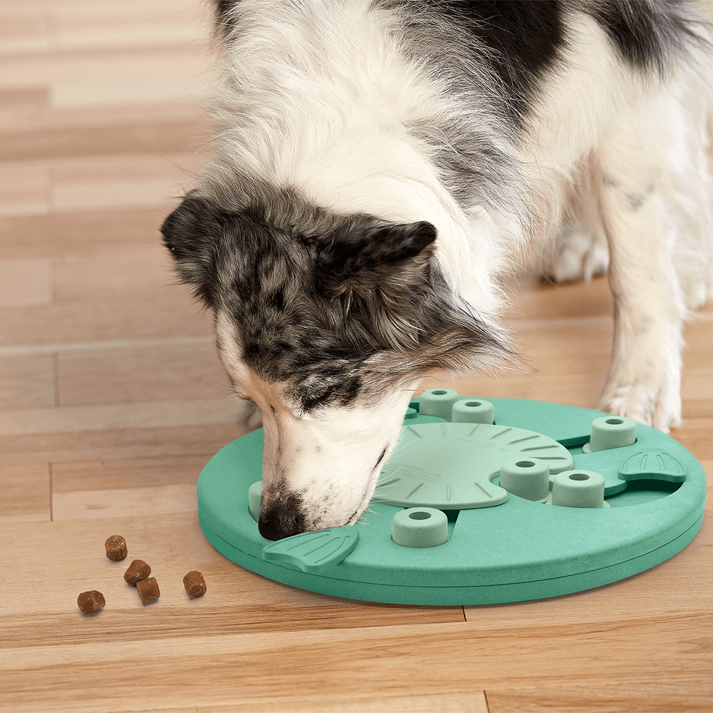 Dog Worker Hide n' Slide Interactive Enrichment Puzzle [level 3]
