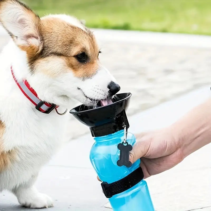 dog water bottle - blue - Naked Munch Pets 