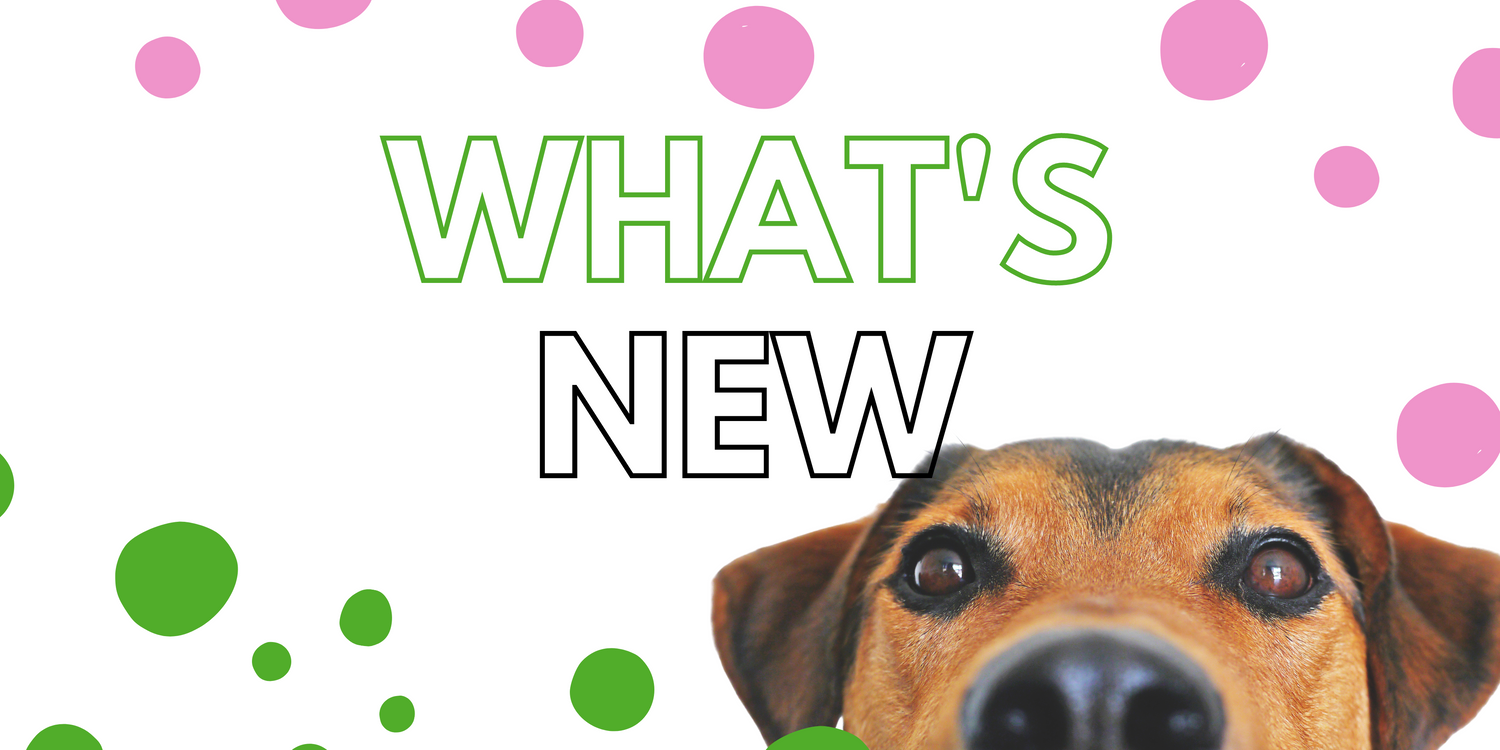 New dog products and dog enrichment at Naked Munch Pets 