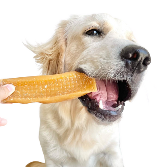 Bone marrow chew - healthy dog chews - Naked Munch Pets