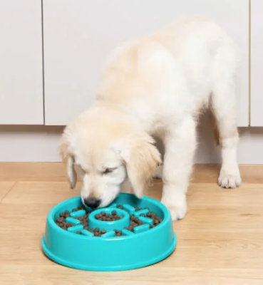 Slow feeding dog bowl - Naked Munch pets 