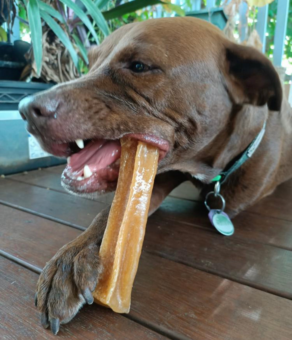 Bone Marrow Chews - tough chews for dogs - Naked Munch